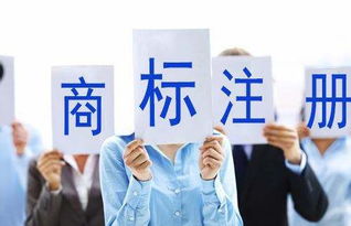 蘇州正規(guī)商標(biāo)注冊 如何在經(jīng)濟(jì)與商務(wù)信息咨詢服務(wù)中尋找高性價比之選